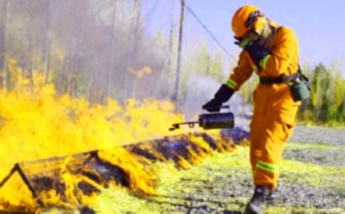 2021年消防安全的教案