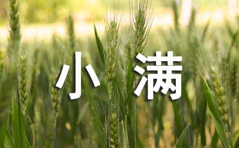 小满节气问候语