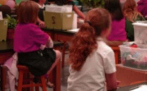 小学生个人简介的自我介绍（必备27篇）