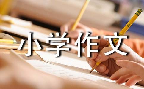 关于动物小学作文300字锦集九篇