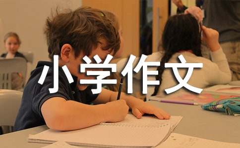 我喜欢的动物小学作文15篇(合集)