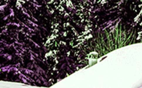 小雪节气社会教案