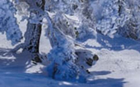 小雪节气社会教案7篇