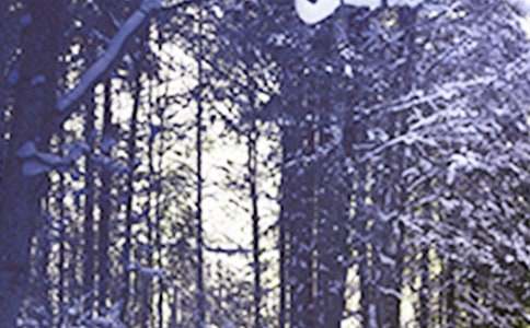 二十四节气小雪绘本教案（通用14篇）