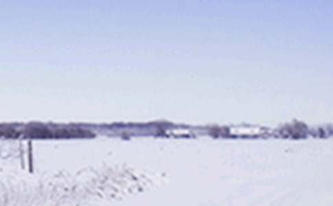 大班教案:小雪（通用17篇）