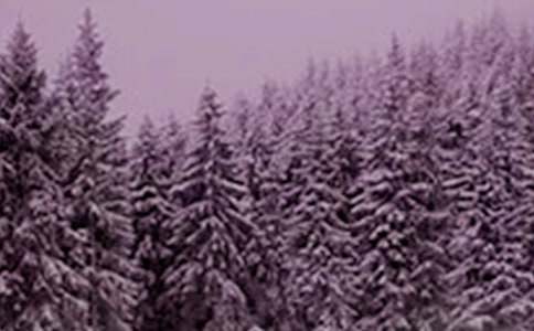 小雪发的问候语