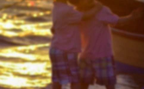 火星地球的孪生兄弟教案