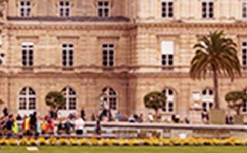 给学院的建议书