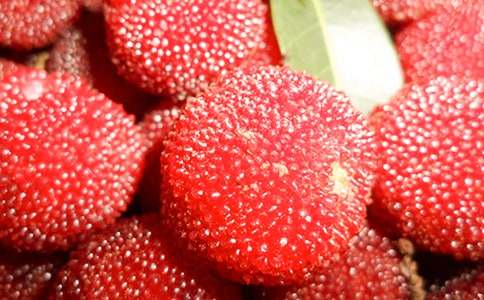 摘杨梅作文15篇[优选]