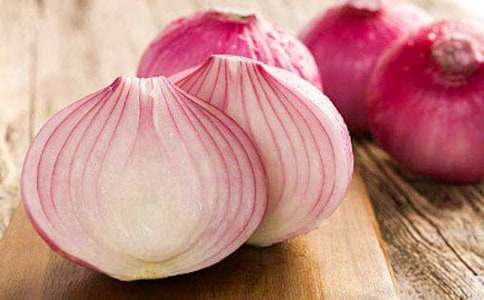 《洋葱头历险记》读后感范例（15篇）