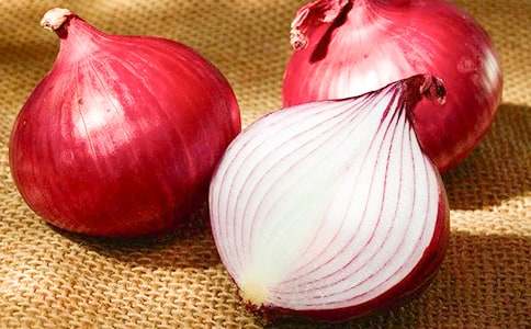 读《洋葱头历险记》有感15篇[通用]