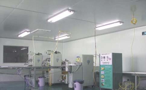 制药厂社会实践报告