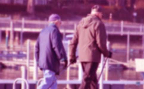 《海蒂和爷爷》观后感