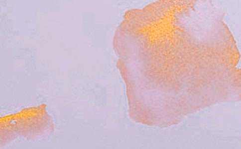 艺术组工作总结