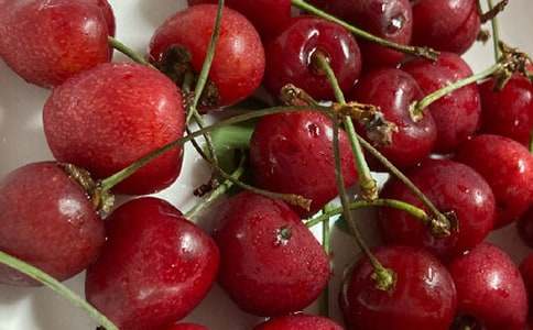 《樱桃》观后感