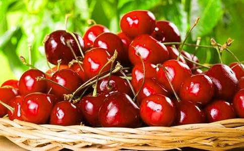 外公是棵樱桃树读后感(集锦15篇)