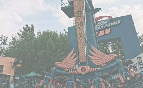 大班游戏教案：动物游乐园