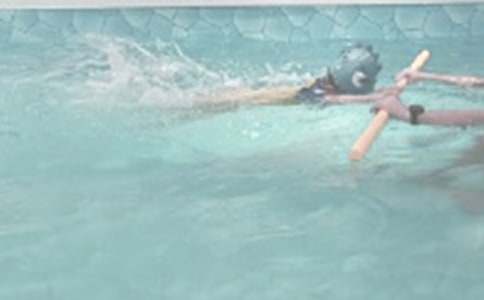 游泳课心得体会