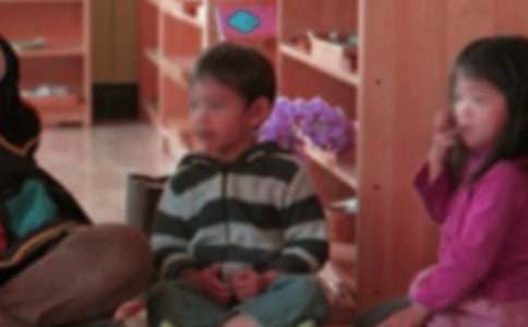 有关幼儿园幼儿绿色工作计划四篇