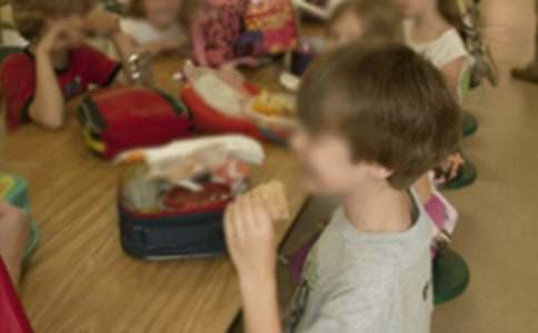 幼儿园班务学期工作计划范文汇编八篇