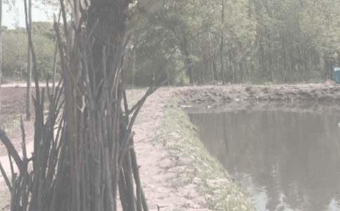 【精选】征用鱼塘补偿协议书2篇