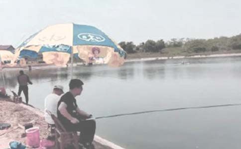 鱼塘承包合同协议书模板