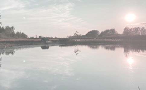 鱼塘转让协议书(4篇)