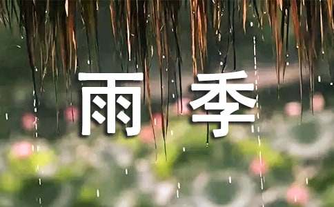 青春的雨季作文