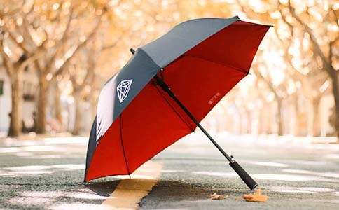 爱心雨伞活动策划(合集9篇)