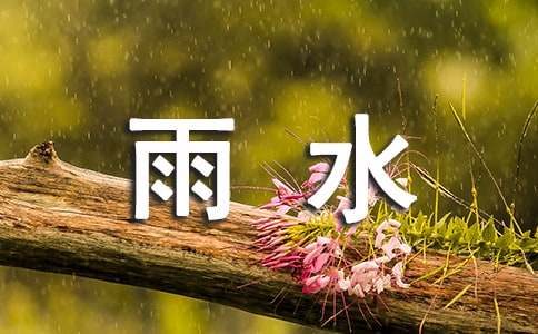 雨水节气教案小班