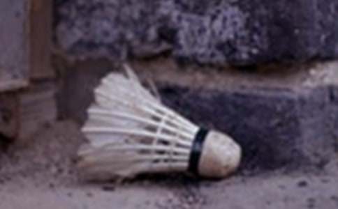 羽毛球心得体会