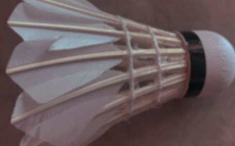 羽毛球协会工作计划