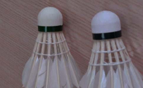 大学生羽毛球比赛策划书