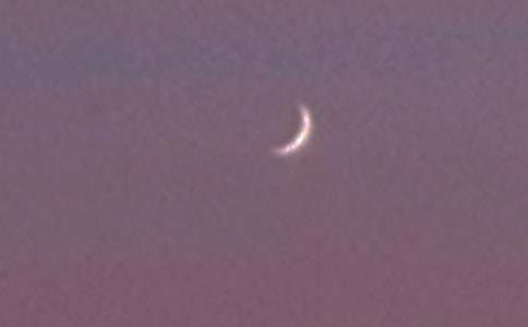 《鼹鼠的月亮河》读后感集合15篇