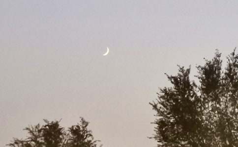 《月亮姑娘做衣裳》教案15篇