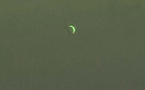 弯弯的月亮小班教案（精选11篇）