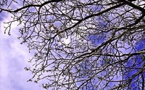 【热门】美好的早安祝福语合集36条