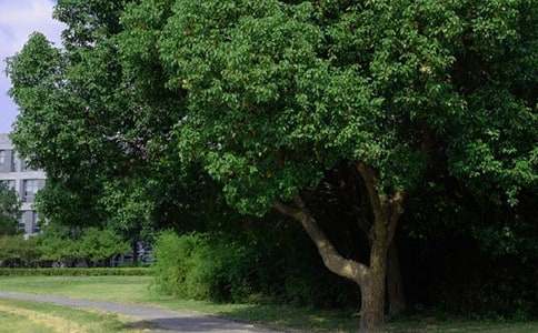 【必备】2024年美好的早安微信祝福语29句