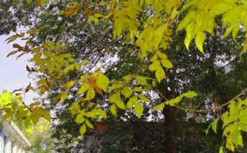 简短个性早安祝福语(精选200句)