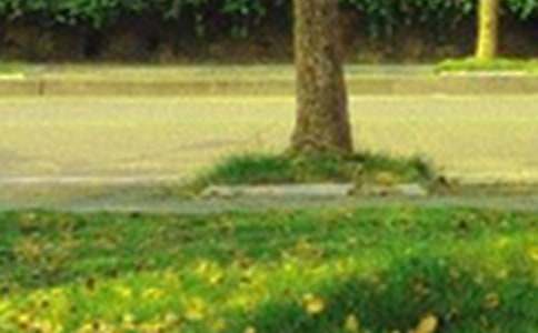 精选美好的早安祝福语语录大集合52条