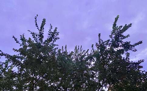 有关美好的早安微信祝福语合集45条