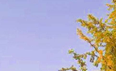 经典温馨早安祝福语汇总90句