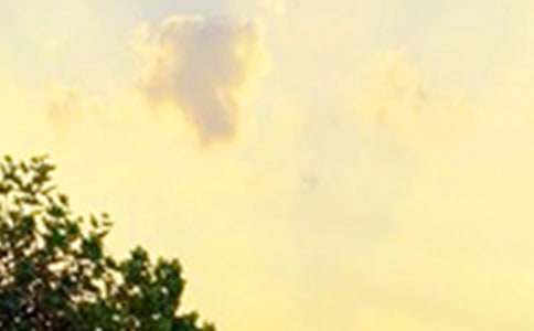 2024年精选美好的早安微信祝福语大合集67句