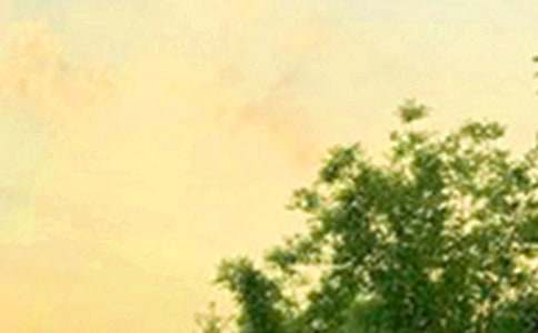 有关个性早安祝福语(精选145句)