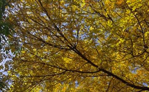 热门个性早安祝福语汇总155句