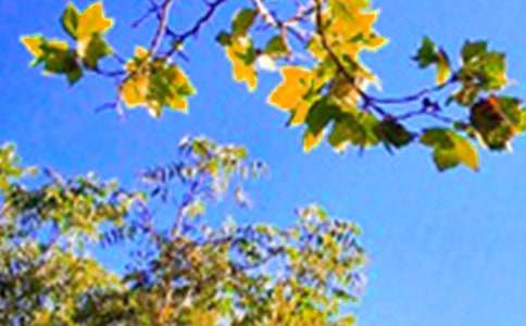 简短个性早安祝福语150句精选