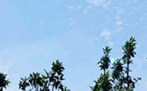 简洁的美好的早安QQ祝福语集锦55句