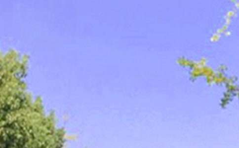 简短个性早安祝福语汇总(精选50句)