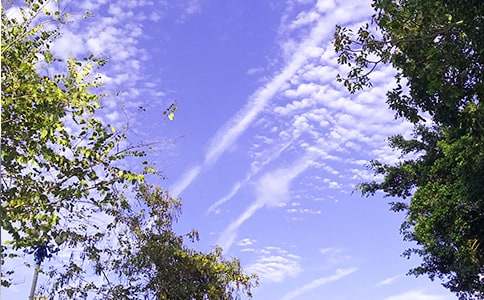 2024年简短的美好的早安微信祝福语合集33条