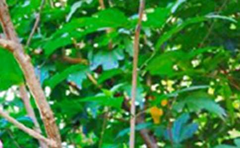 2023年精选美好的早安QQ祝福语合集63句